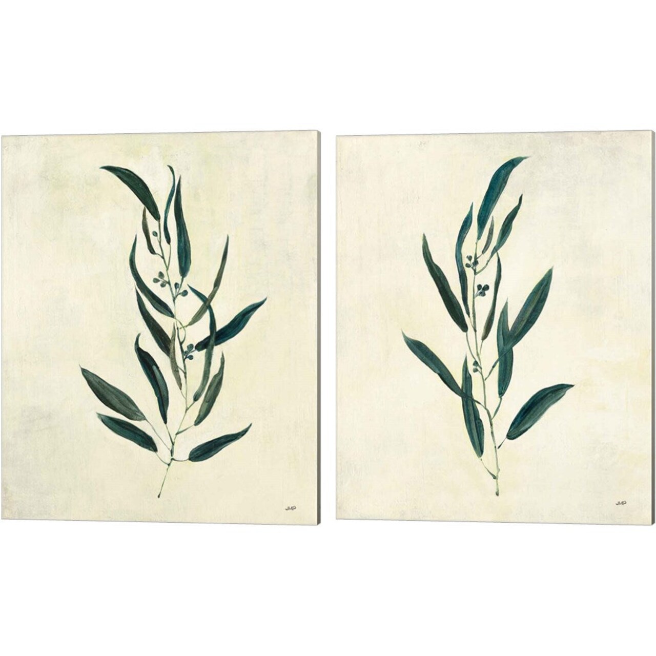 Botanical Study by Julia Purinton, 2 Piece Canvas Art Set 16x20